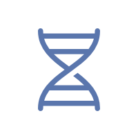 Genealogy - DNA Strand