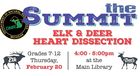 Elk and Deer Heart Dissection February 20